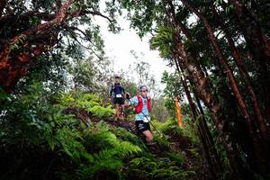 BIB: 
                            <button type="button" onclick="openModal(26201965)" class="btn btn-primary btn-sm float-right btn-popup" data-toggle="modal" data-target=".modal-high-quality">
                        <i class="fas fa-shopping-cart"></i> Add to Cart
                    </button>
                                            <button type="button" onclick="isThisMe(26201965, true)" class="btn btn-success btn-sm float-right btn-popup btn-isme hidden" data-toggle="tooltip" data-placement="bottom" title="นี่คือรูปของคุณใช่ไหม คลิกที่นี่เพื่อเอาเข้าอัลบั้ม">
                        <i class="fas fa-plus"></i> Add to album
                    </button>
                    <button type="button" onclick="isThisMe(26201965, false)" class="btn btn-warning btn-sm float-right btn-popup btn-isnotme hidden">
                        <i class="fas fa-ban"></i> Remove from album
                    </button>